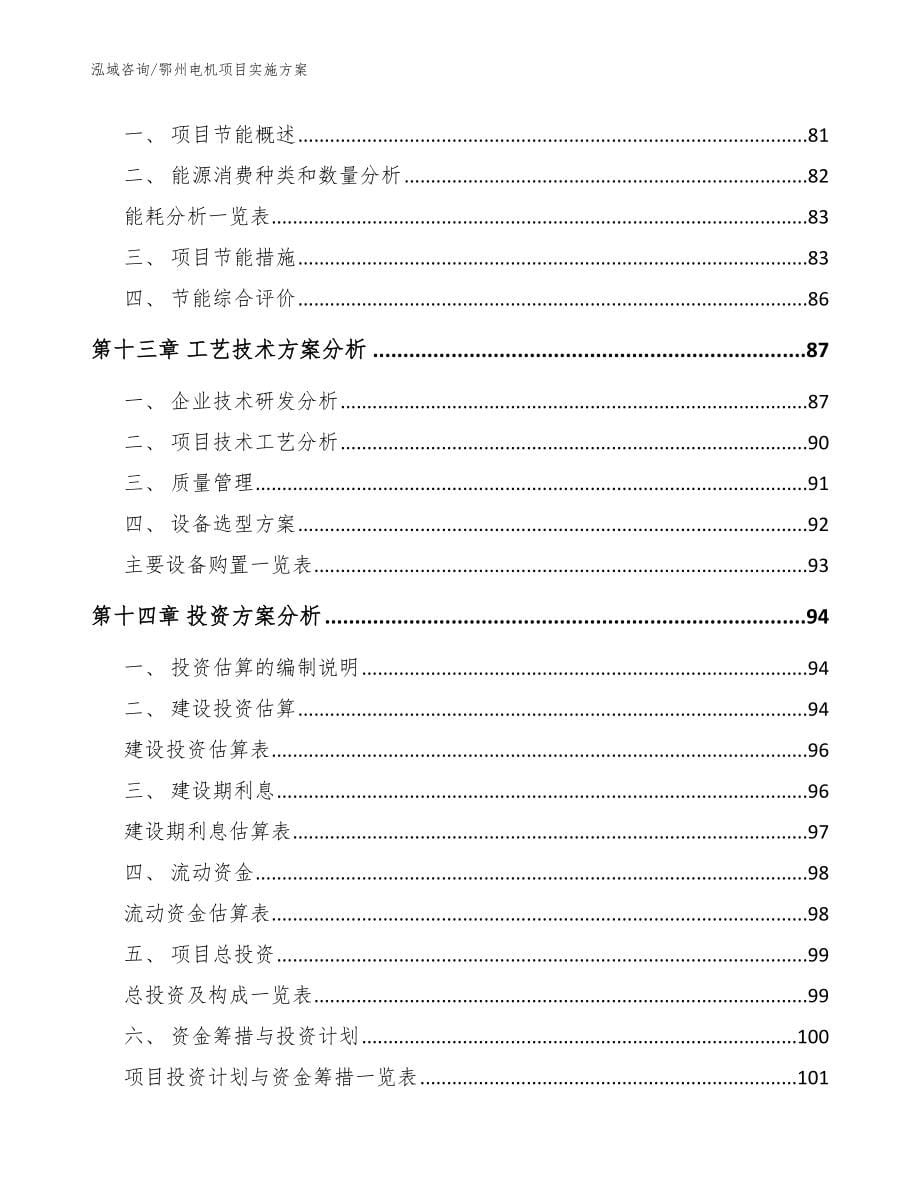 鄂州电机项目实施方案（范文）_第5页