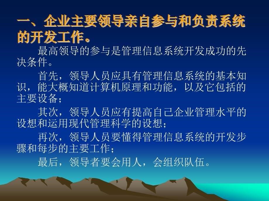 企业信息系统的开发_第5页