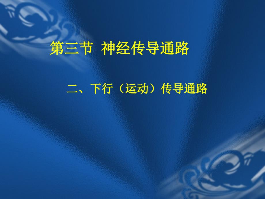 《运动传导通路》PPT课件_第1页