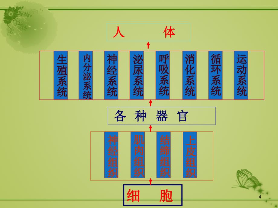 婴幼儿运动能力培养ppt课件_第4页