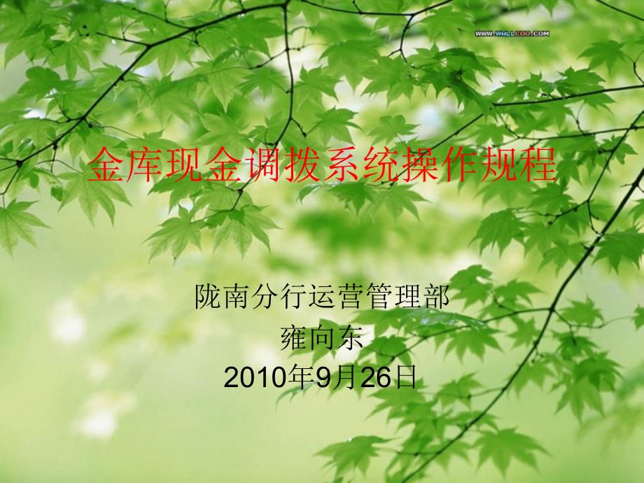 《现金调拨系统》PPT课件_第1页