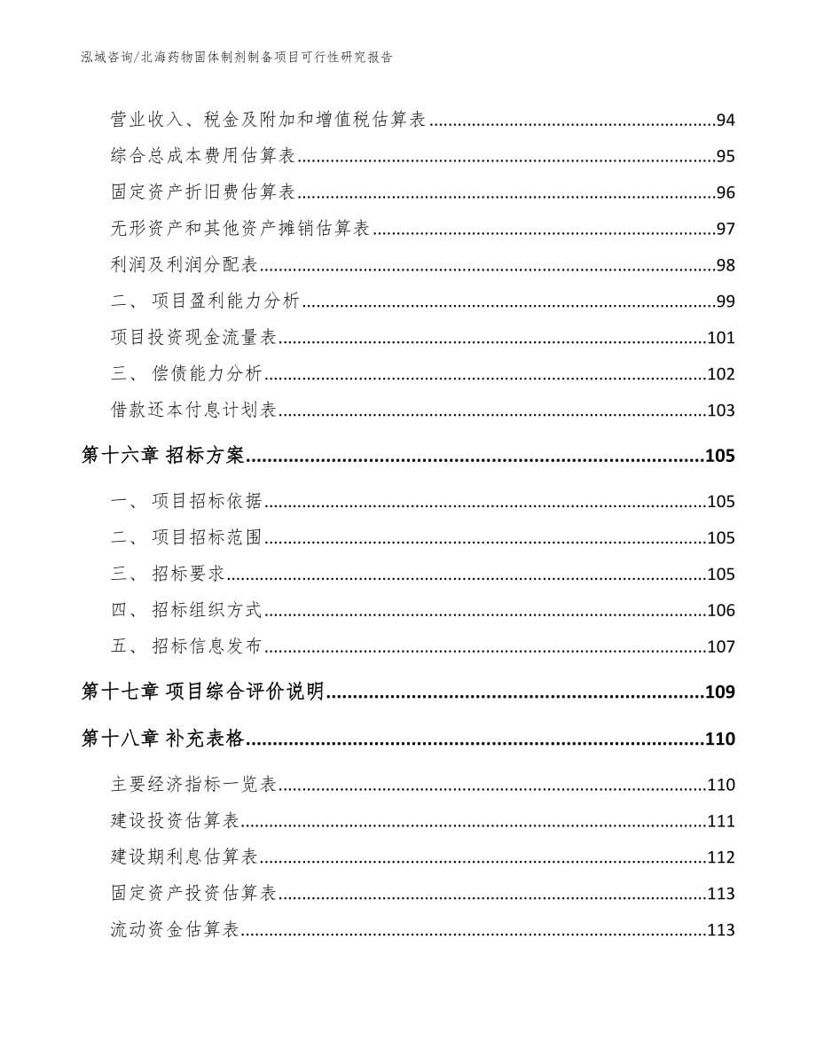 北海药物固体制剂制备项目可行性研究报告_第5页