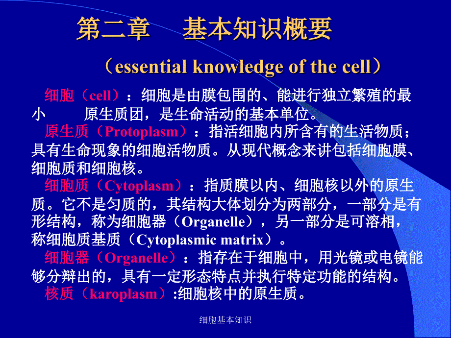 细胞基本知识课件_第1页