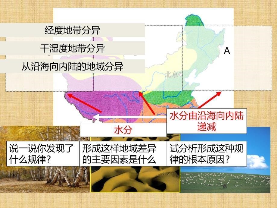 高中地理必修一第五章第二节自然地理环境的差异性_第5页