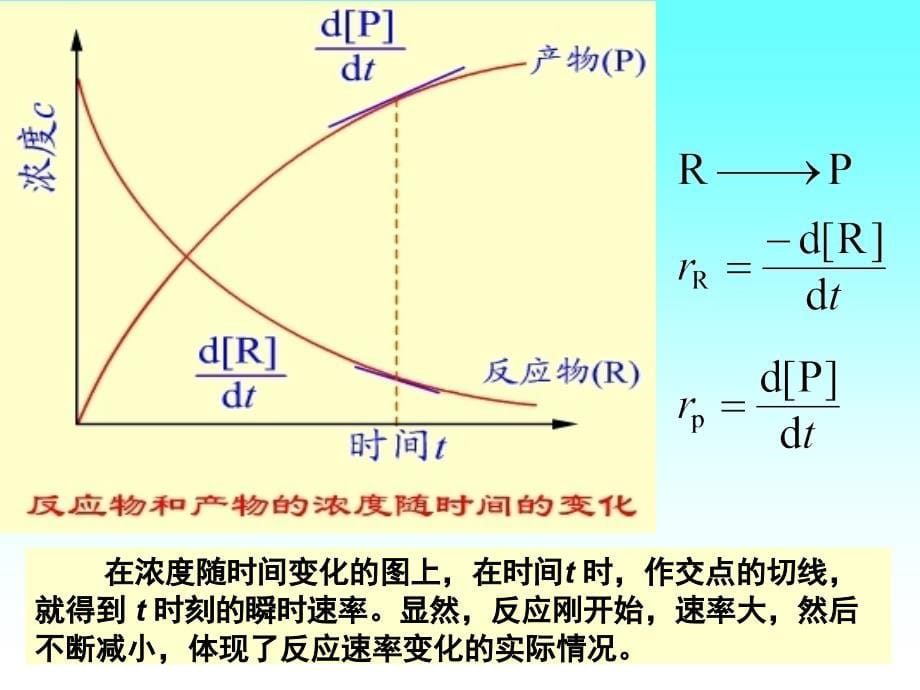 物理化学及胶体化学：第十章 化学动力学_第5页