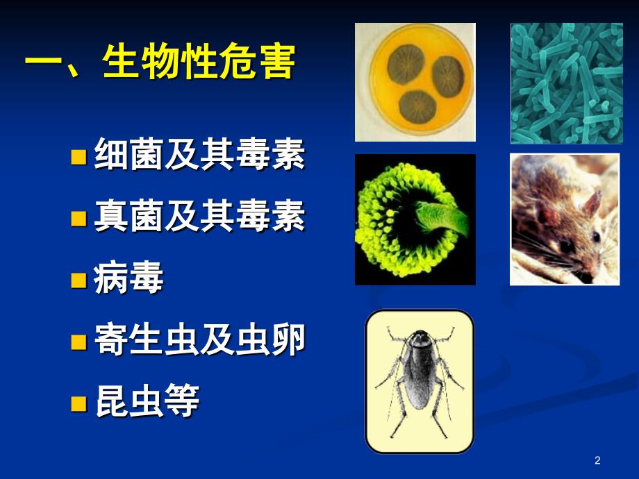 南农 食品安全导论 第二章 食品中的生物性危害_第2页