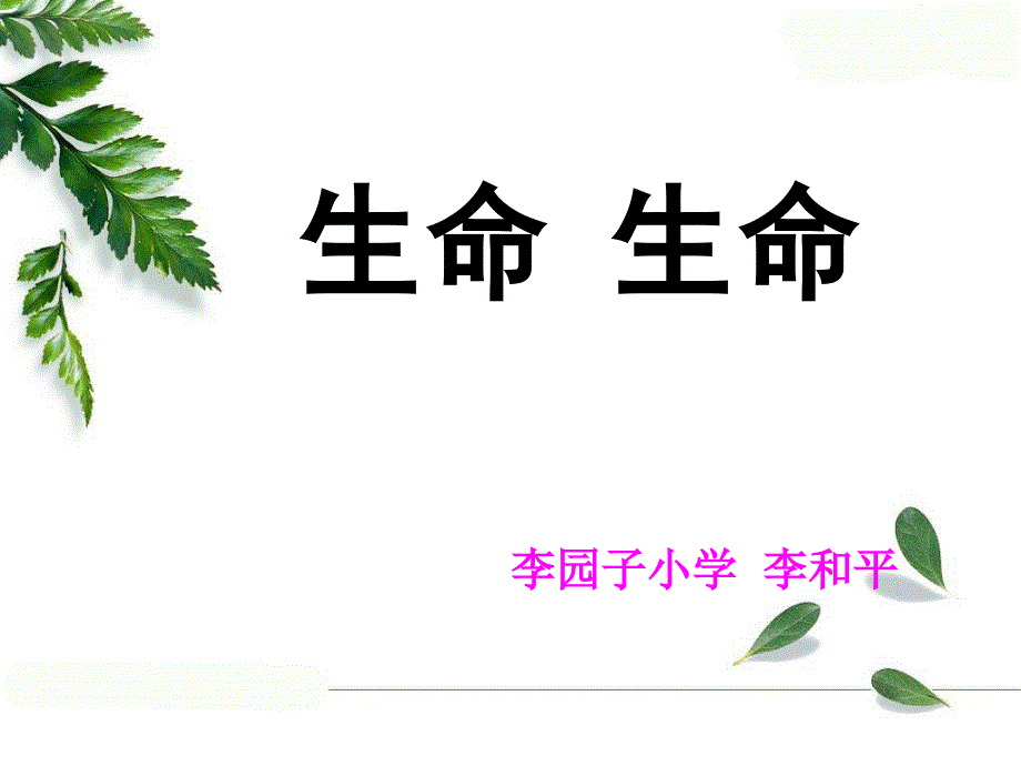 《生命生命_第1页