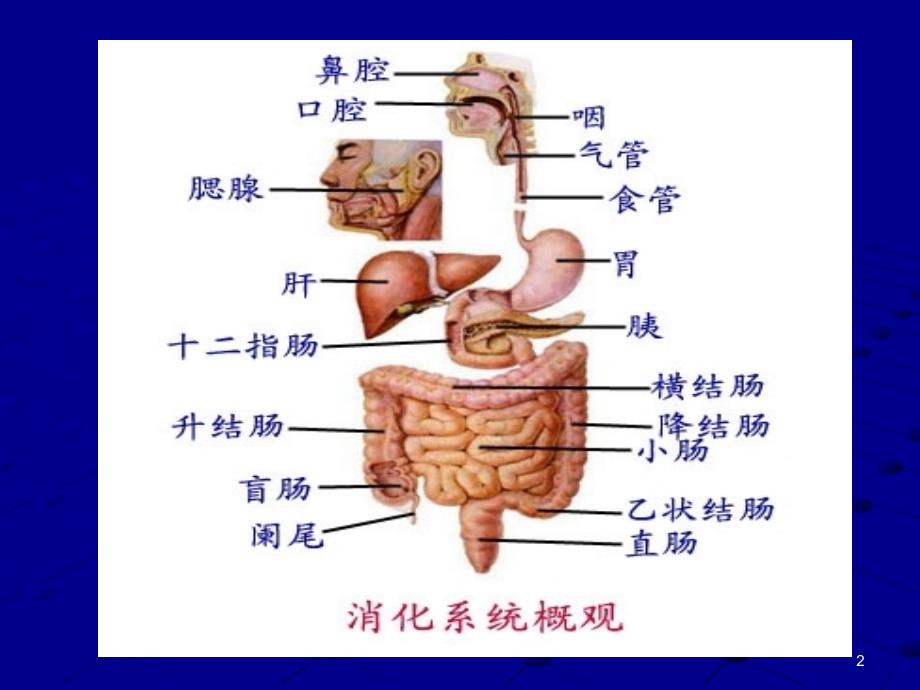 上消化道出血第八版_第2页