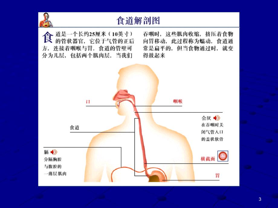 上消化道出血第八版_第3页