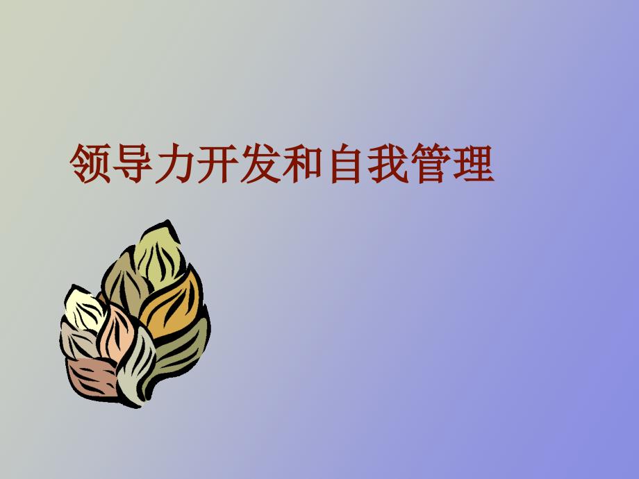 领导力开发和自我管理_第1页