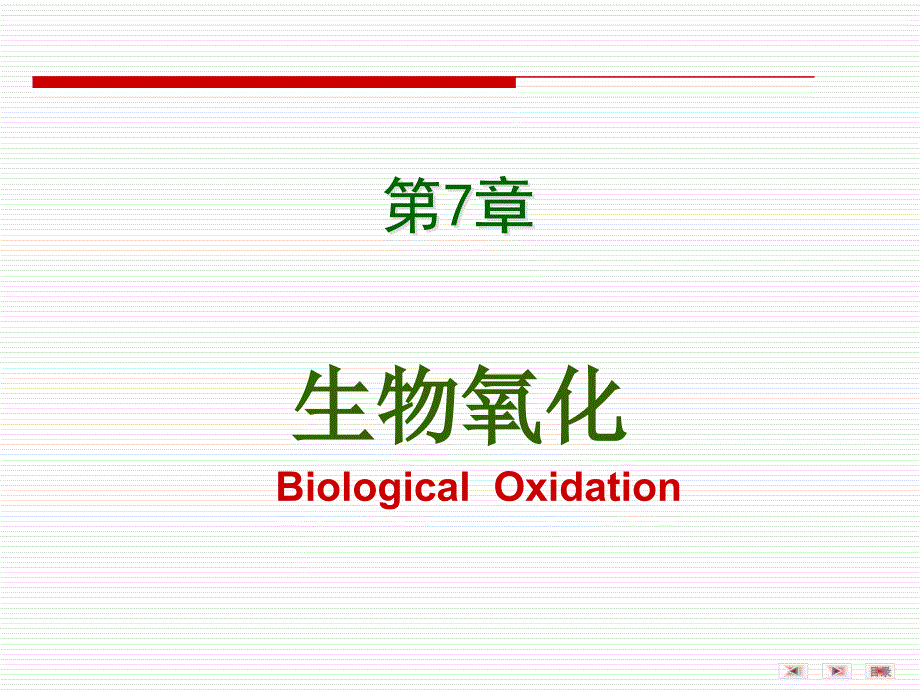 生物化学课件：第06章生物氧化(12医本)_第1页