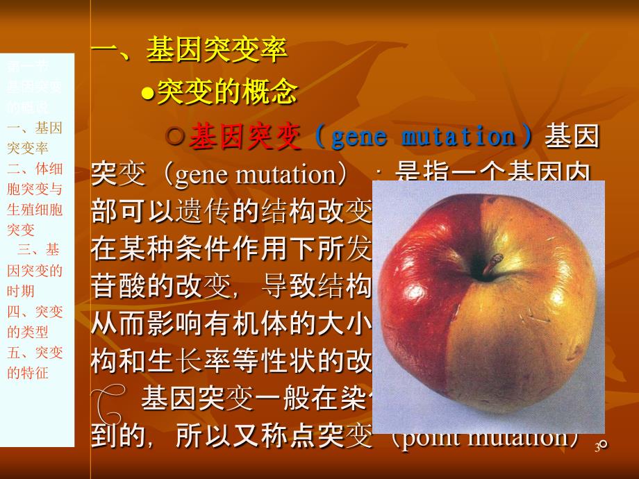 医学遗传学第七章基因突变参考PPT_第3页