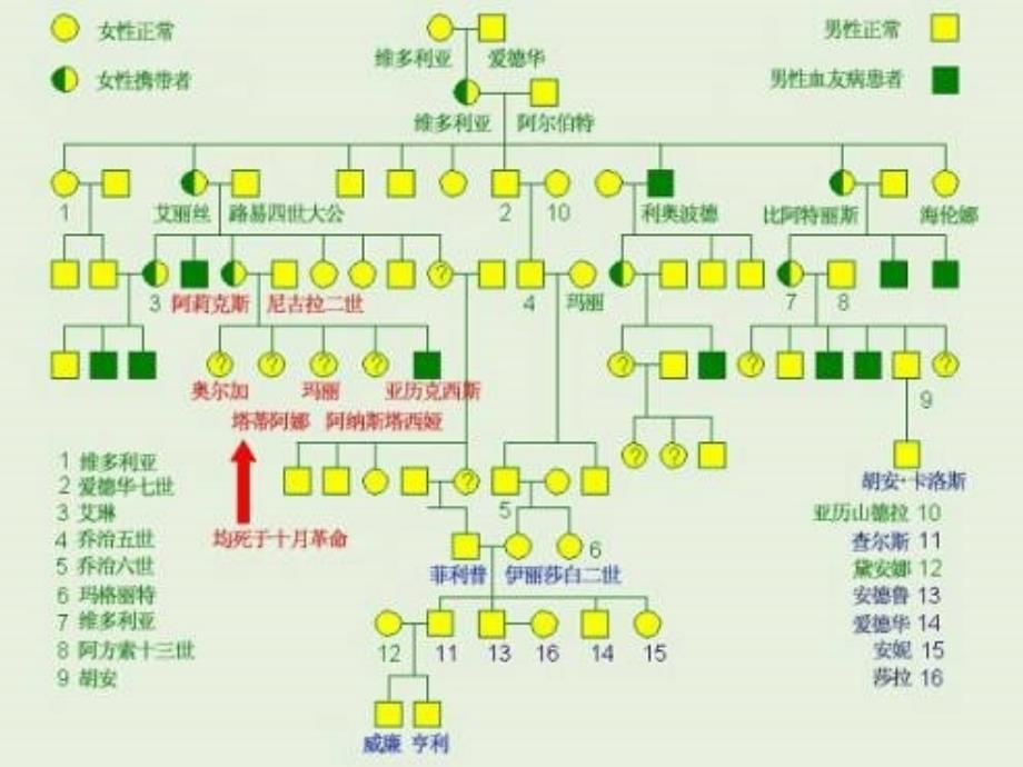 血栓与止血检测中文版课件_第3页