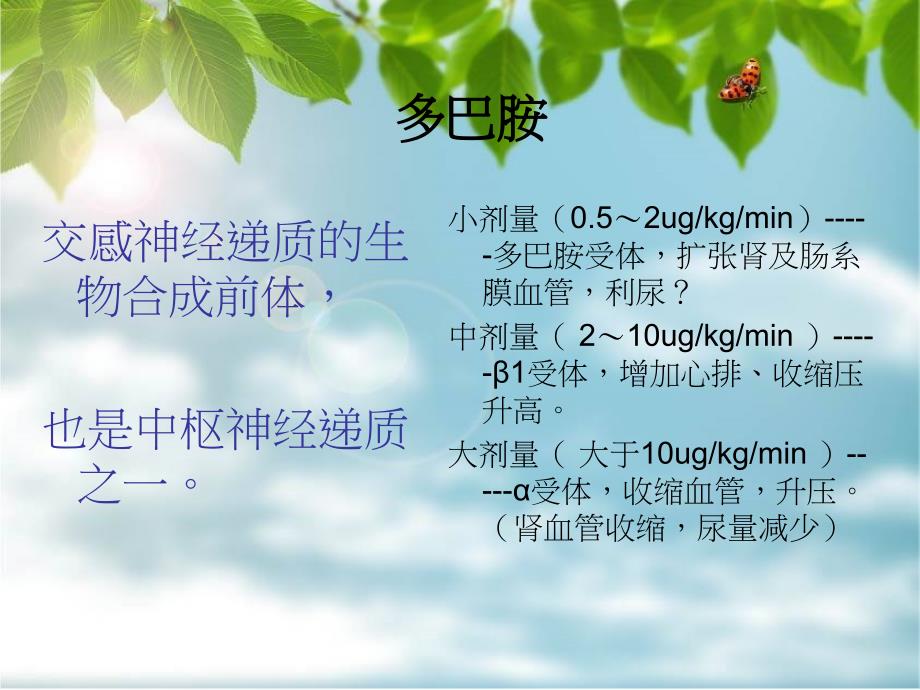 ICU常见药物的配置与注意事项_第3页