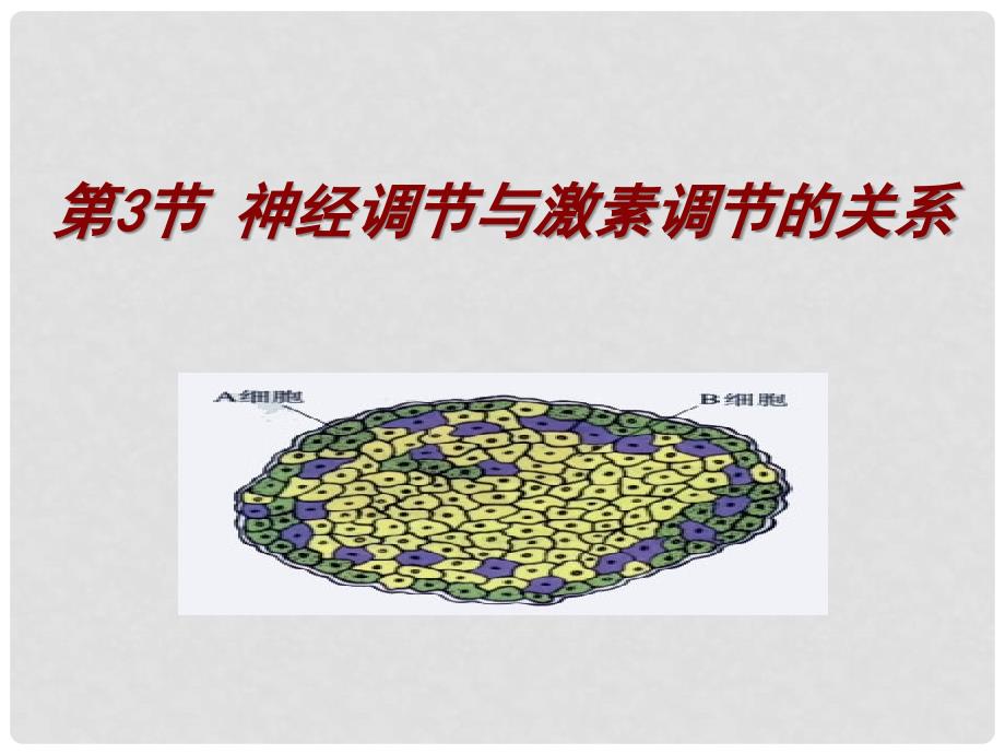 云南省弥勒县庆来中学高中生物 第2、3节 神经调节与体液调节的关系课件 新人教版必修3_第2页