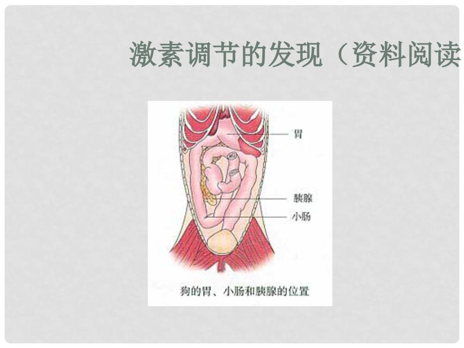 云南省弥勒县庆来中学高中生物 第2、3节 神经调节与体液调节的关系课件 新人教版必修3_第3页