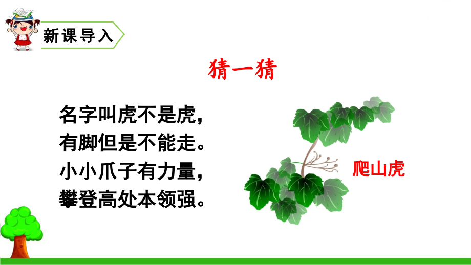 部编版四年级语文上册语文ppt课件310爬山虎的脚_第1页