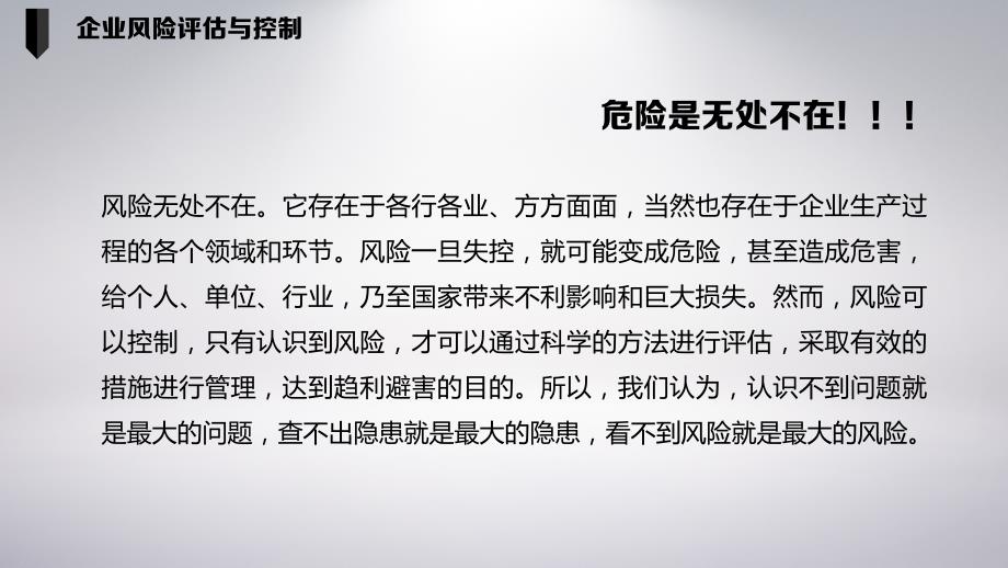 企业风险评估与控制培训学习培训模板课件_第4页