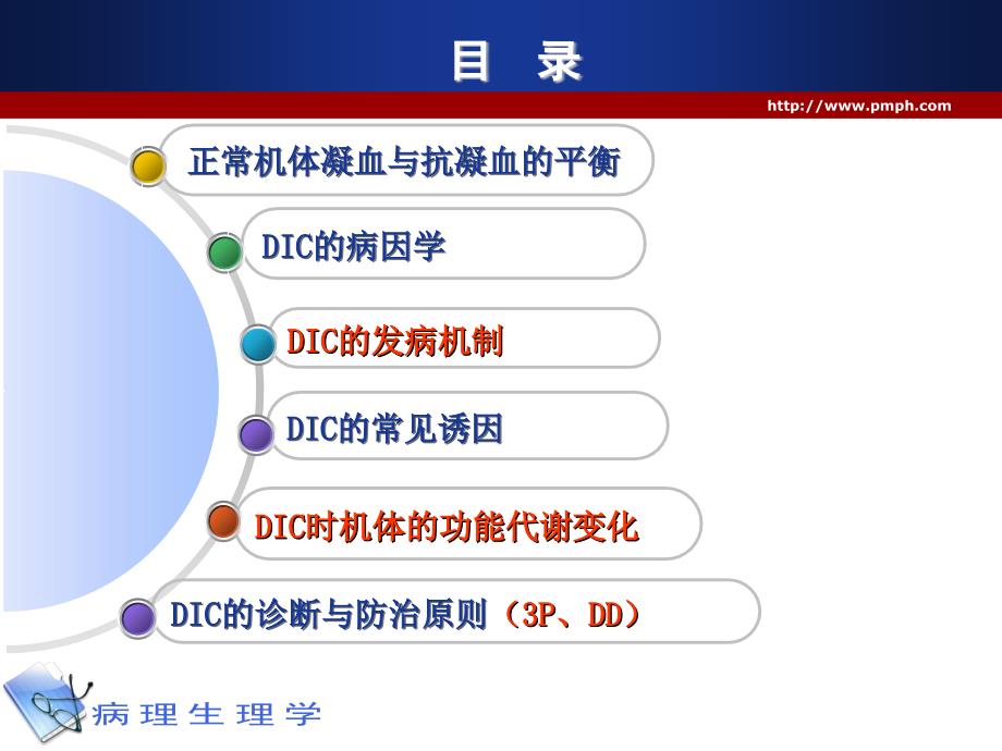 机能试验学：第十二章 凝血和抗凝血平衡紊乱_第4页