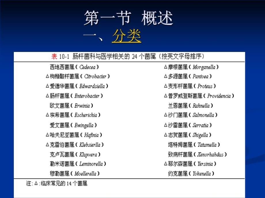 《肠杆菌科细菌》课件.ppt_第2页