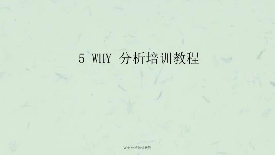 WHY分析培训教程课件_第1页