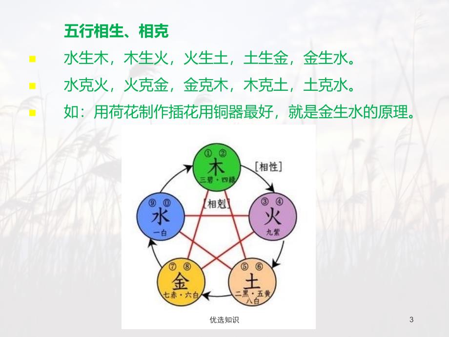 生活四艺东方传统插花艺术专业教学_第3页