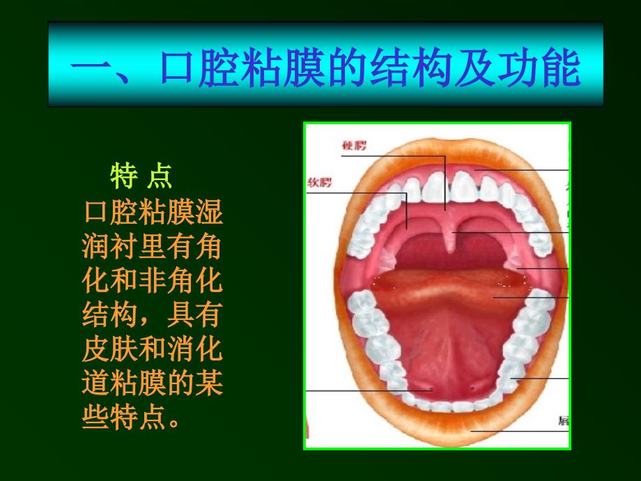 口腔溃疡诊断鉴别_第2页