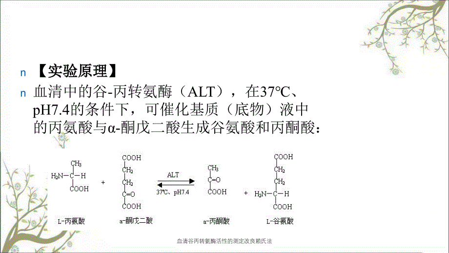 血清谷丙转氨酶活性的测定改良赖氏法_第3页