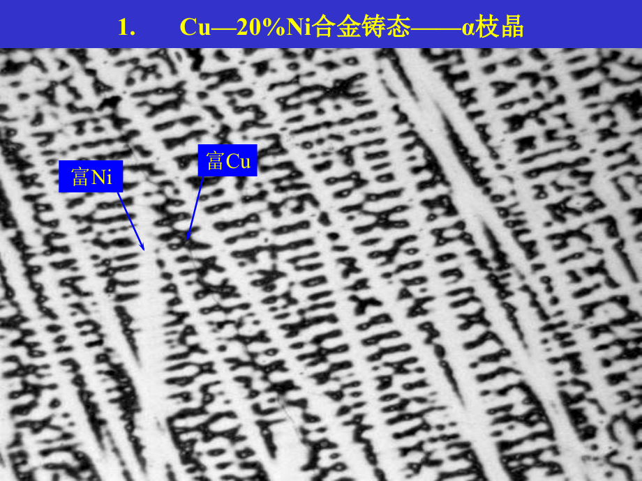 二元合金显微组织分析学习培训课件_第5页