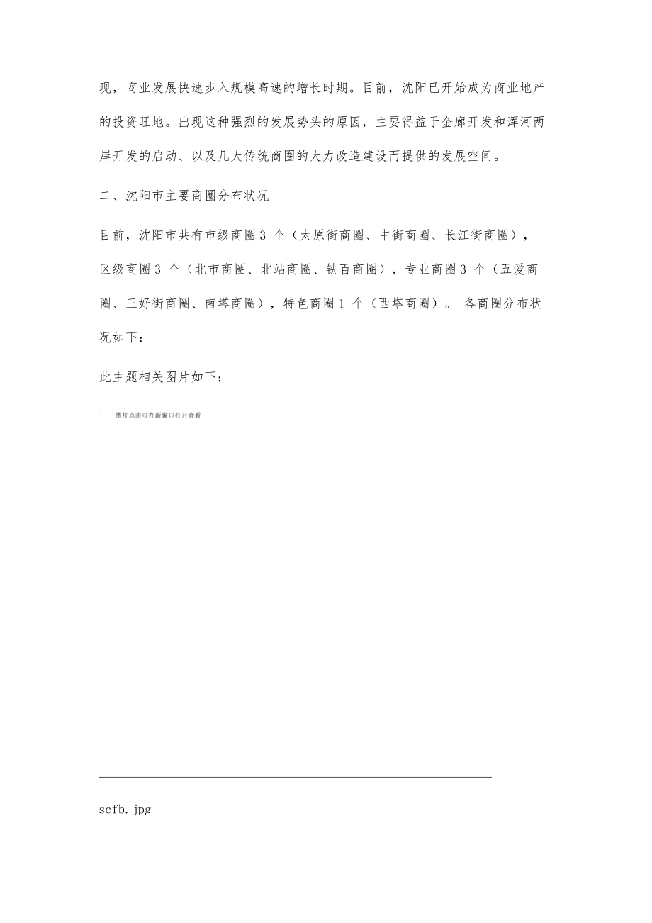 沈阳市商圈综合调研报告23900字_第2页