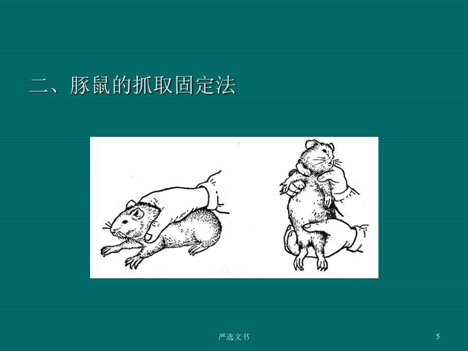 动物实验基本操作技术54091优质分析_第5页