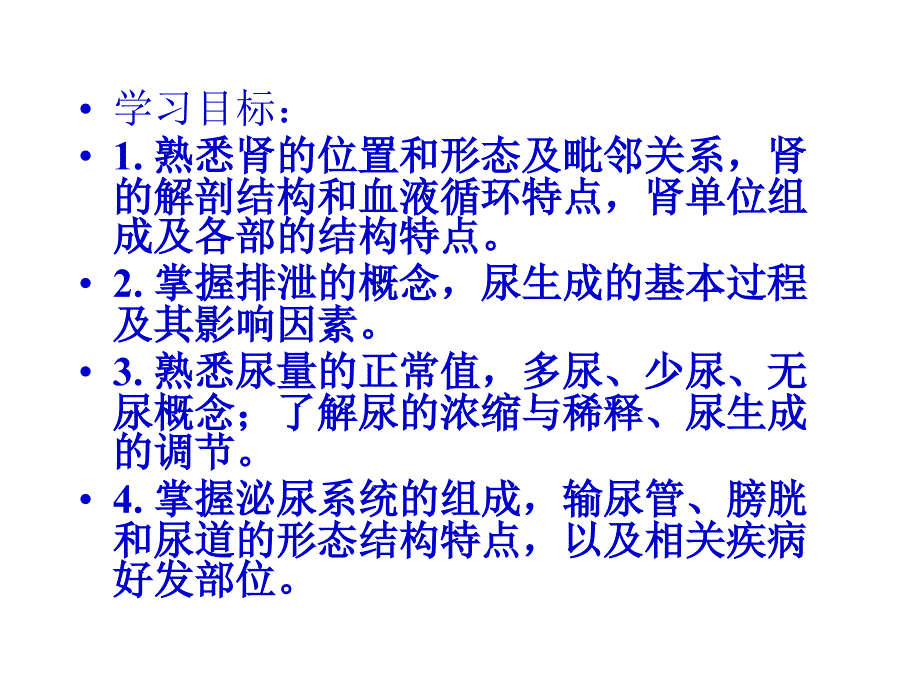 泌尿系解剖ppt_第2页