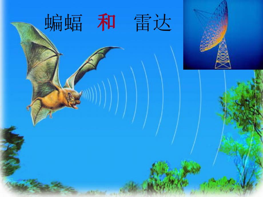 大象版科学四下7.3飞行的秘密课件2_第2页