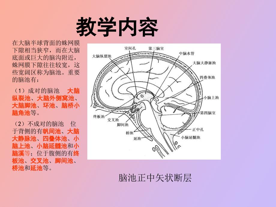 脑池断层影像解剖_第4页