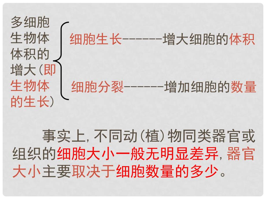 高中生物 6.1 细胞的增殖课件 新人教版必修1_第3页