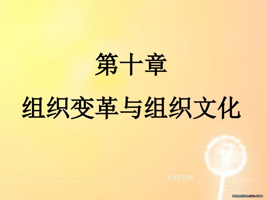 组织变革与组织文化.ppt_第1页