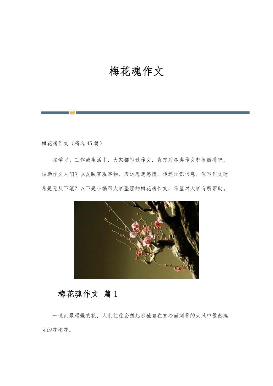 梅花魂作文-第1篇_第1页