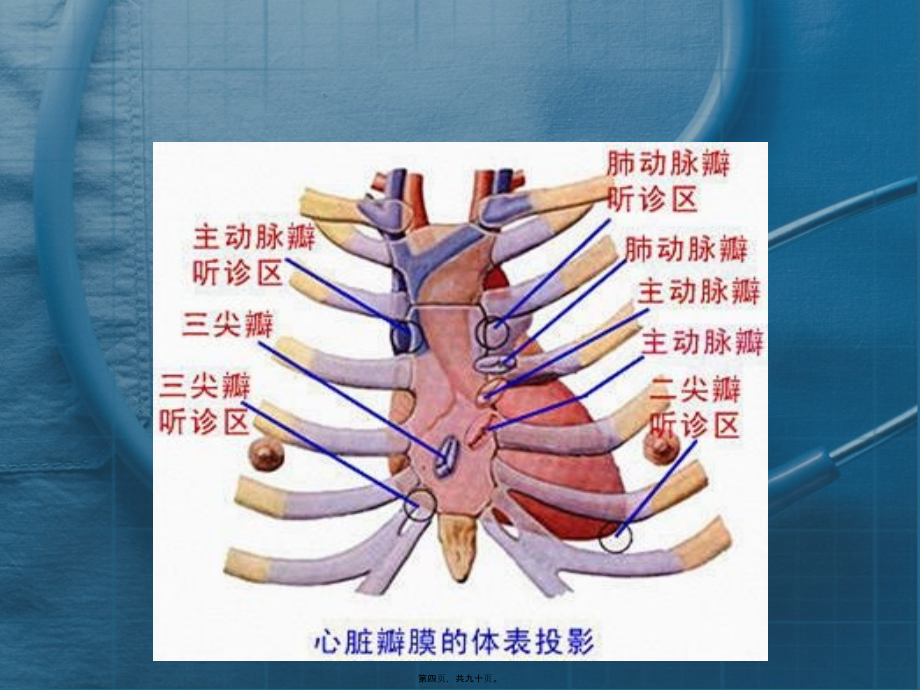 2022医学课件实用心脏听诊讲义_第4页