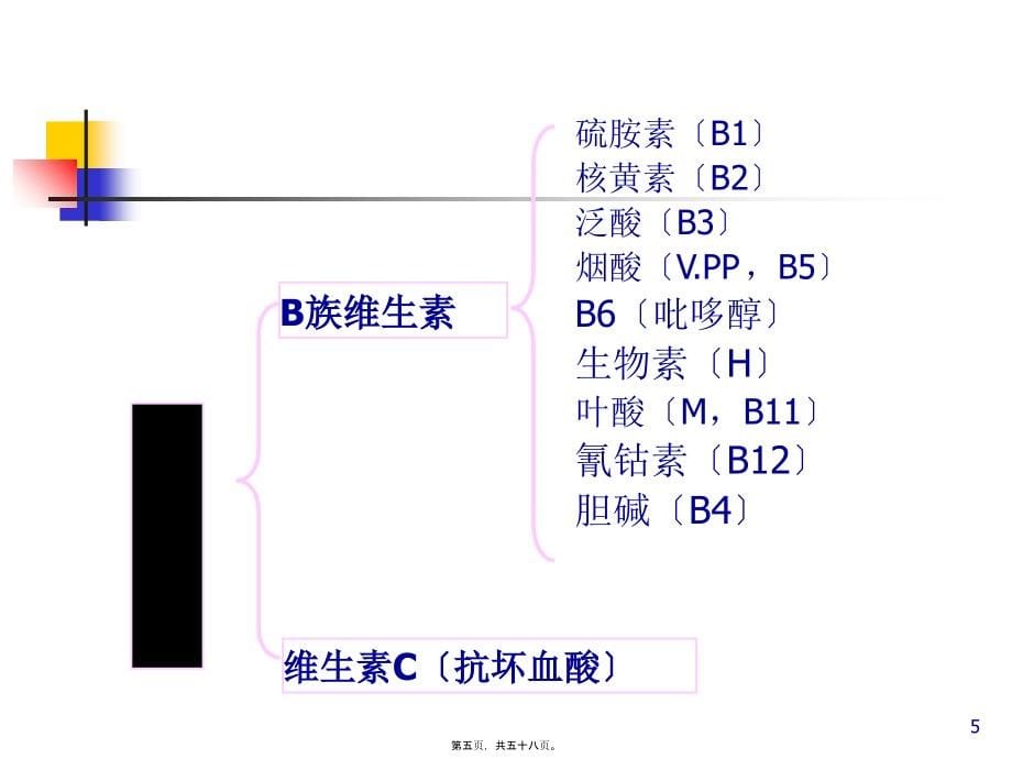 2022医学课件宠物的维生素营养_第5页