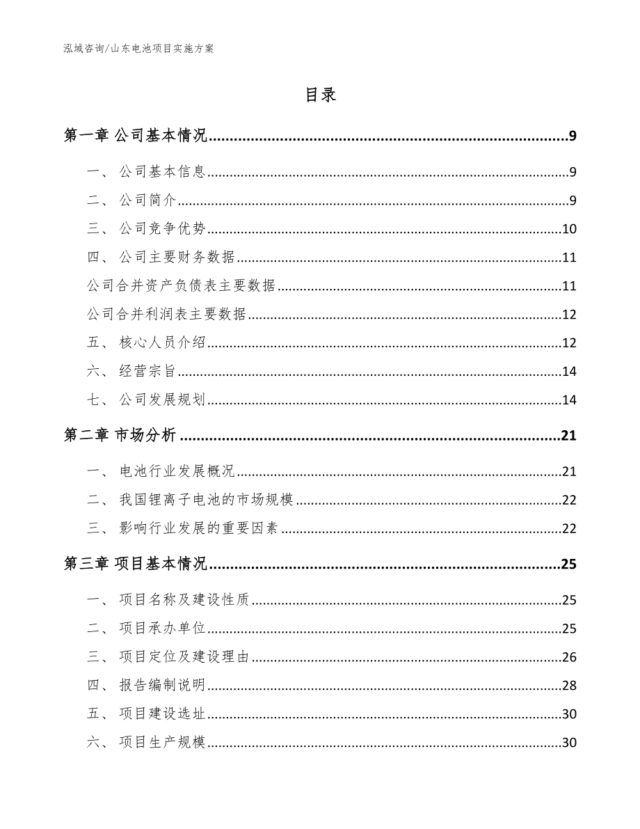 山东电池项目实施方案_第2页