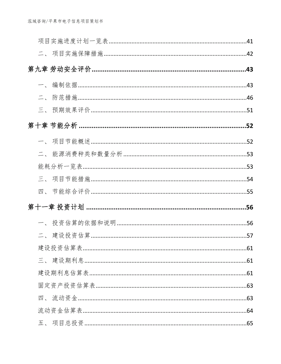 平果市电子信息项目策划书_第3页