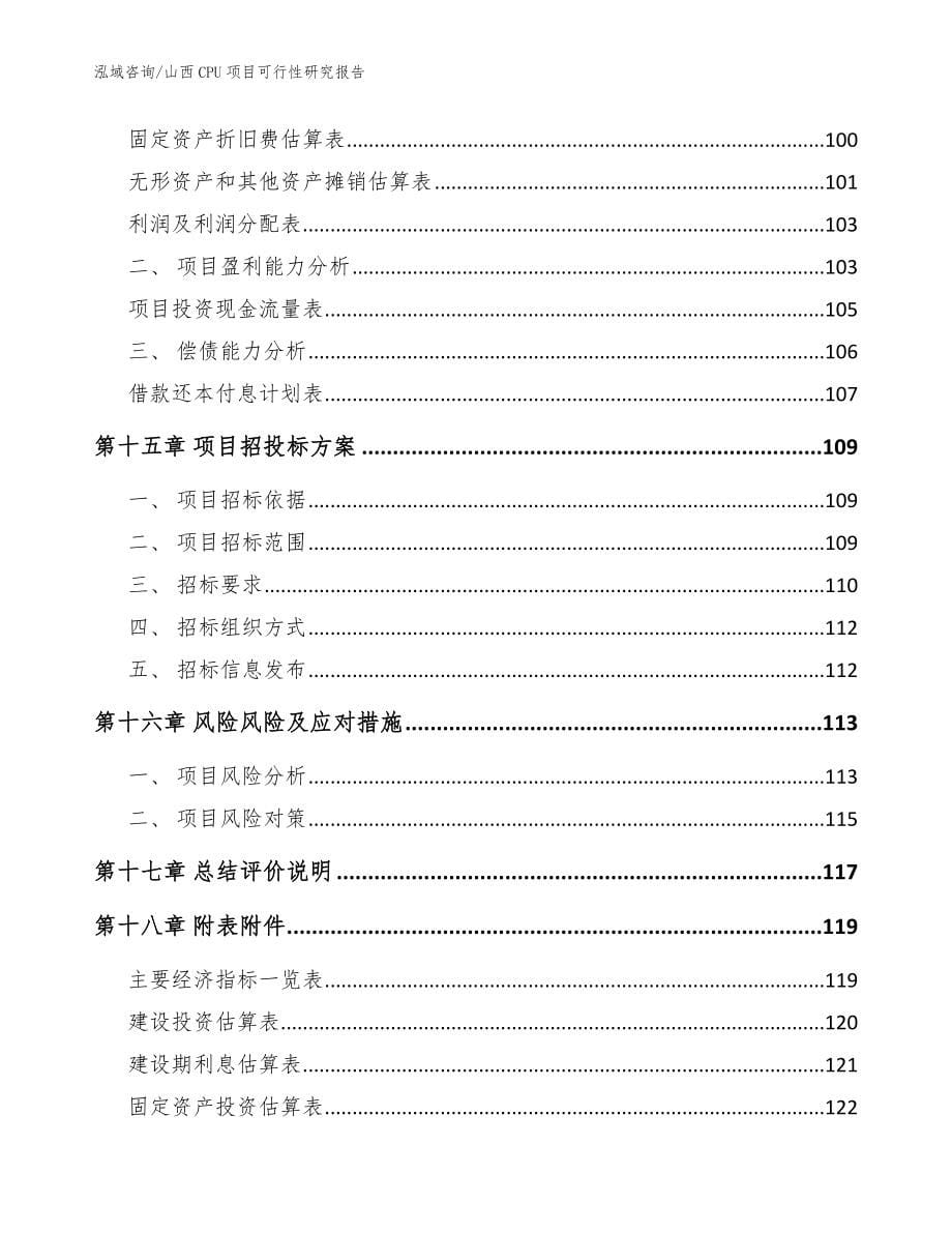 山西CPU项目可行性研究报告_第5页