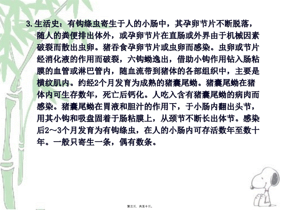 2022医学课件人畜共患寄生虫病的检疫_第3页