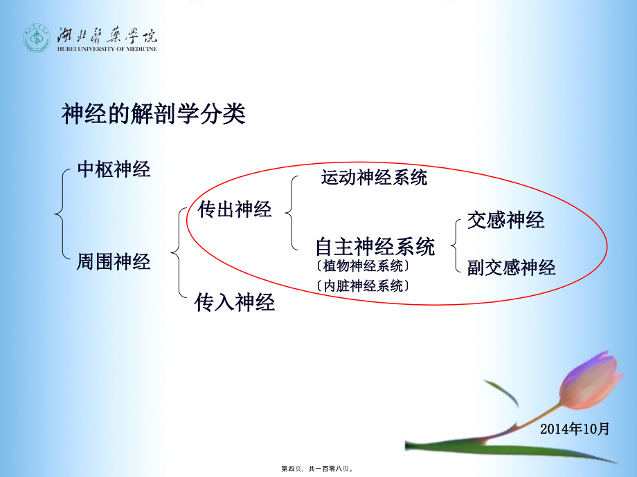 2022医学课件传出神经系统药理(5-7章)_第4页