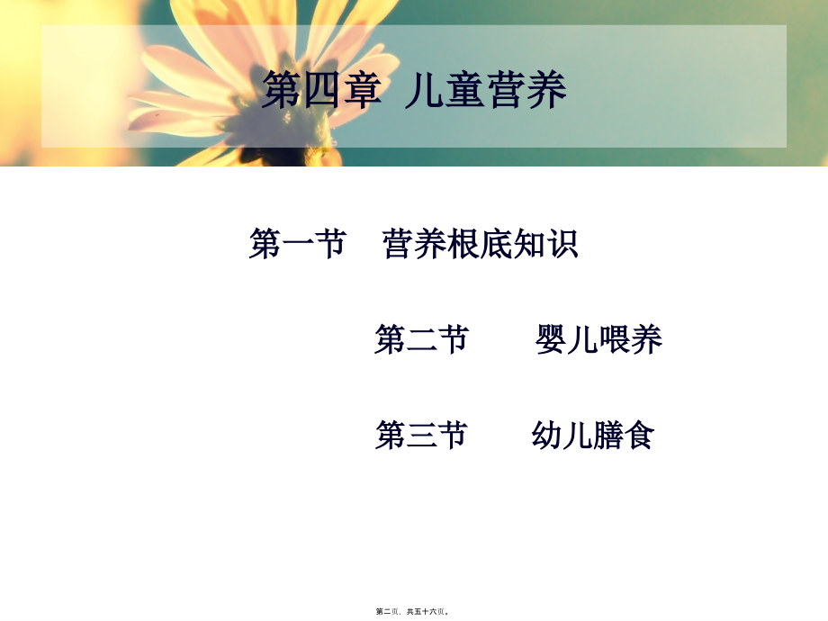 2022医学课件学前卫生学-第四章-儿童营养_第2页