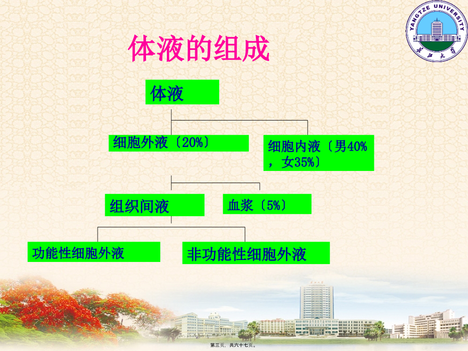 2022医学课件外科病人的体液失调2学时_第3页