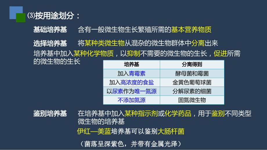 微生物的培养技术及应用课件_第5页