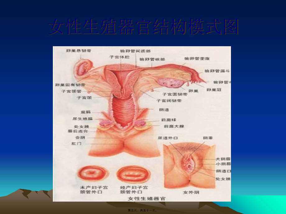 2022医学课件妇科常见病知识讲座_第3页