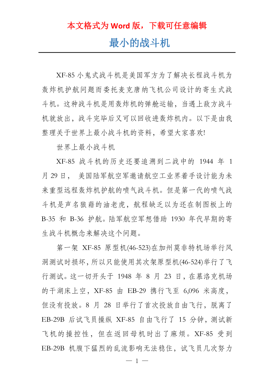 最小的战斗机_第1页