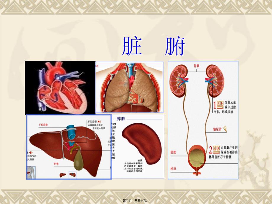 2022医学课件人体的结构与功能全解_第2页